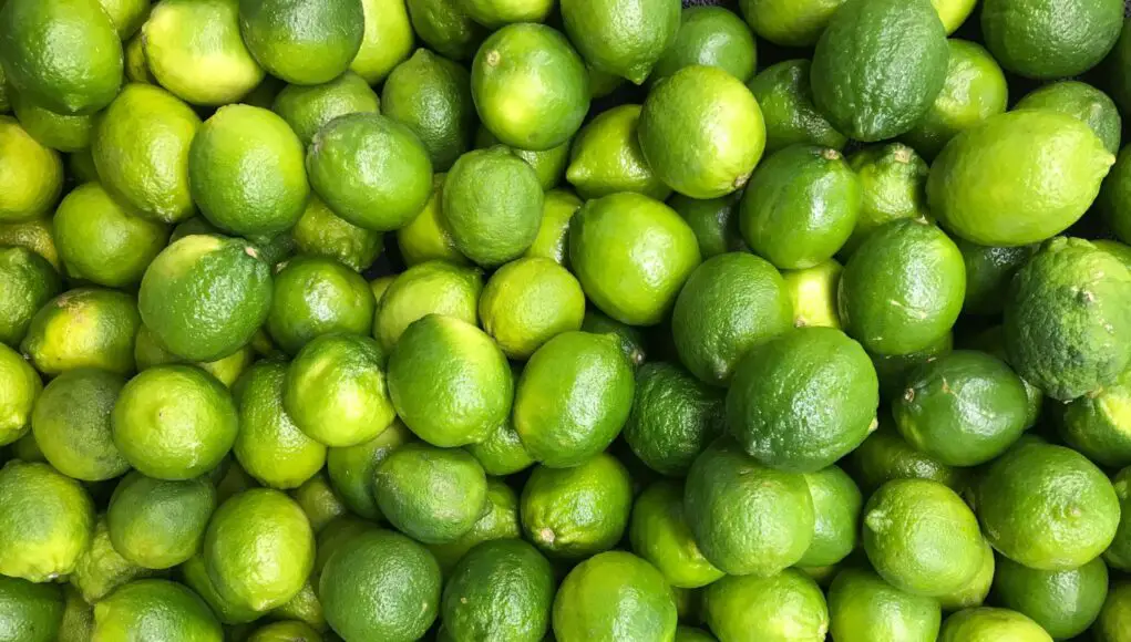 The Zesty World of Limes: Unveiling the Citrus Marvels